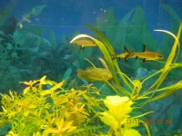 DSCN1118.webp