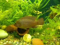 DSCN1129.webp