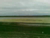 03122010.webp