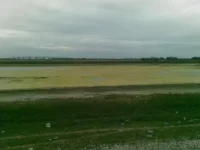 03122010(001).webp