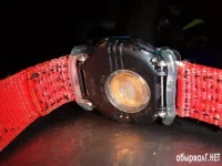11.webp