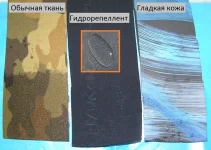 pc1202851.webp pc1202851.webp
