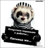 getImage.webp