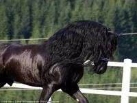PicsDesktop_net_62.webp