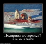 235112_polyarnik-poteryalsya.webp