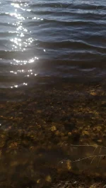 IMG-20200317-WA0058.webp