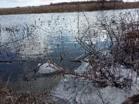 IMG_20200322_114430.webp