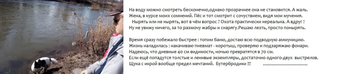 IMG_20200328_100932.webp