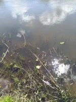 IMG-20200520-WA0004.webp