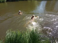 IMG_20200614_143125 - копия.jpg