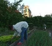 IMG_20200614_194528.jpg