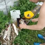 IMG_20200620_175936.jpg