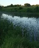 IMG_20200710_195300.jpg