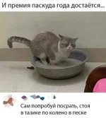 1595671813_pressa_tv_screenshots_18.webp