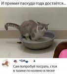 1595671813_pressa_tv_screenshots_18.jpg