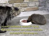5c7c5bde22d0.webp