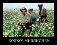 7962884ebb28.webp