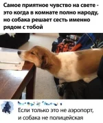 66ac89753e88.webp