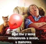 147084a18909.webp