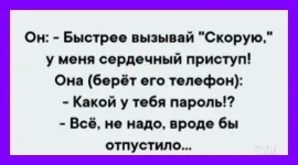 изображение_viber_2020-02-02_07-37-38.webp