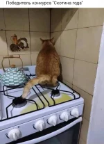 изображение_viber_2020-02-01_15-18-24.webp