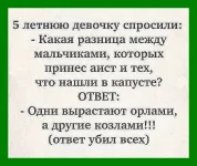 изображение_viber_2020-01-31_16-16-33.webp