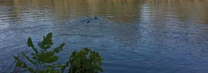 IMG_20200921_110903.jpg