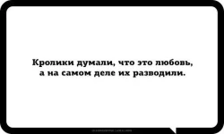разводили.webp