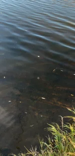 20201101_114343.webp