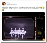 1 (175).webp