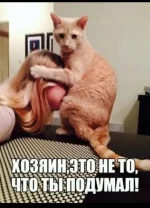 изображение_viber_2020-02-08_12-58-10.webp