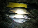 IMG_20201116_021513.jpg
