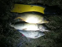 IMG_20201116_021513.webp