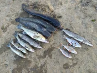 IMG_20201117_133622.webp