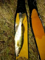 IMG_20201130_093520.webp