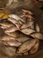 20201213_210513.webp