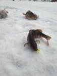 изображение_vib_2020-12-14_13-38-16.jpg