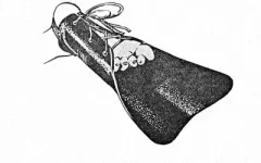 1956---Pinne-danesi Nauti Scope.webp