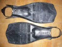касаткаа.webp