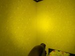 800EAF51-2AE8-4C3C-9E03-07734AFCAFC3.jpeg