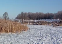 IMG_20210216_112551.jpg