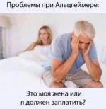 15257824.webp