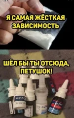 15300455.webp