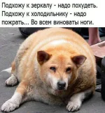 FB_IMG_1614438561263.webp