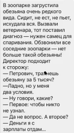 15321129.webp