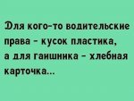 IMG-0507cdea84da44006c095b558943cc8e-V.jpg