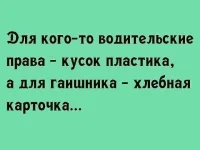 IMG-0507cdea84da44006c095b558943cc8e-V.webp