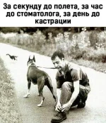 32670602_m.webp