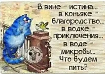 IMG-56287e94e7c93214602683ecef630fc4-V.webp