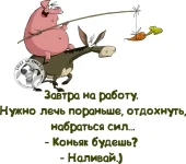 IMG-55472c3bc77de988e3a2c80a3f1beb93-V.webp